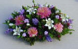 Mums, Buddleia and Lilies